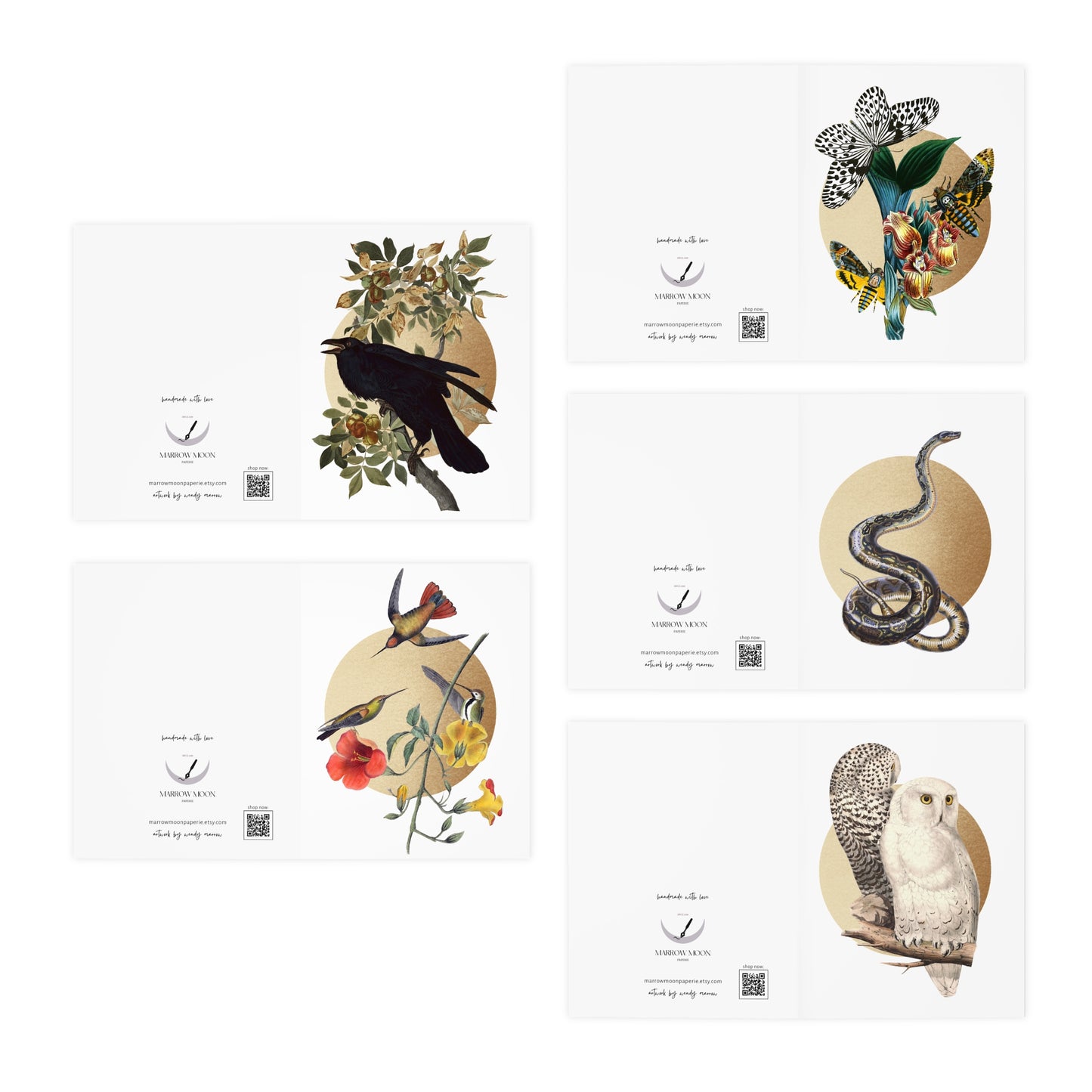 Vintage Illustrations Multi-Design Greeting Cards Raven Moth Owl Hummingbird Snake Variety Pack Greeting Cards (5-Pack)