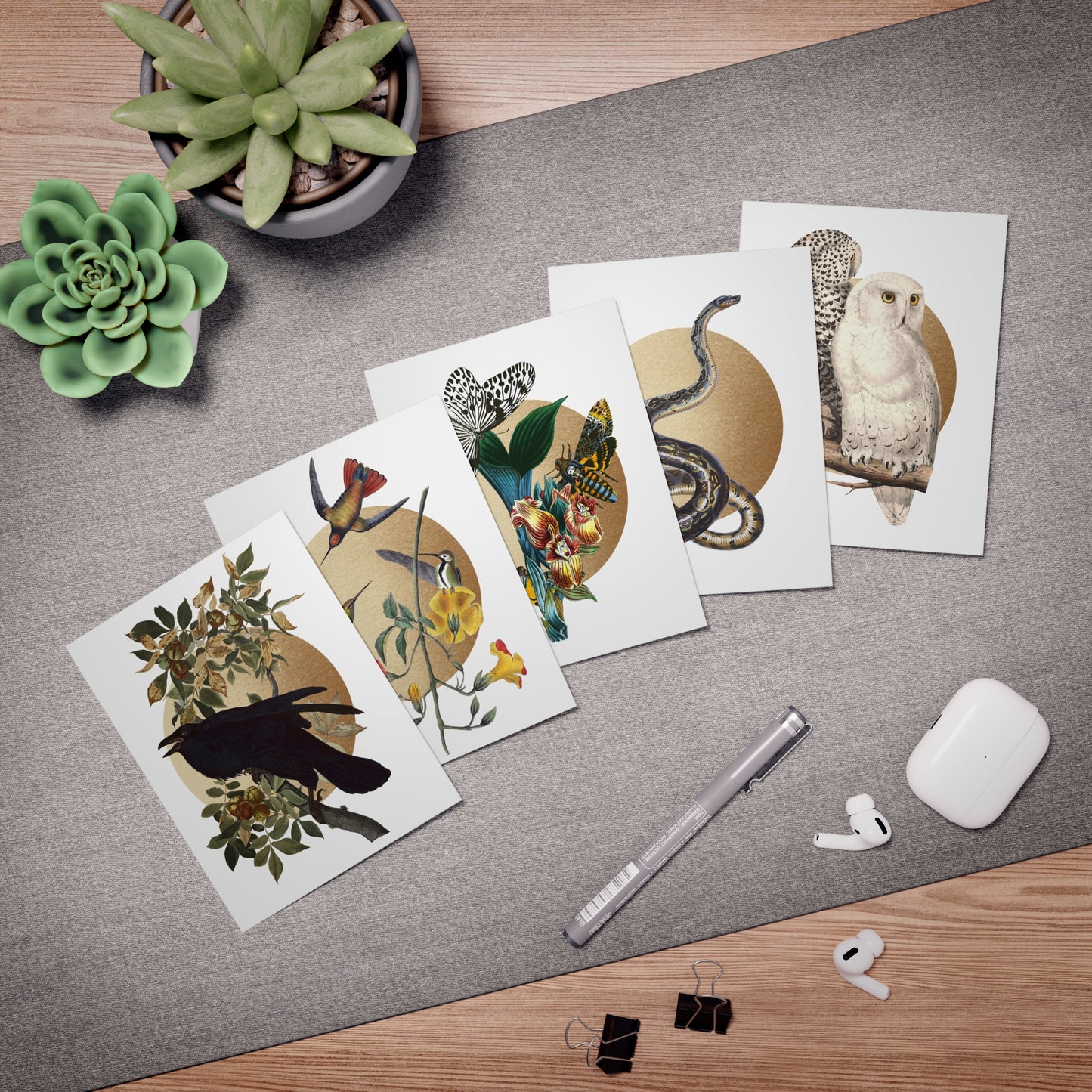 Vintage Illustrations Multi-Design Greeting Cards Raven Moth Owl Hummingbird Snake Variety Pack Greeting Cards (5-Pack)
