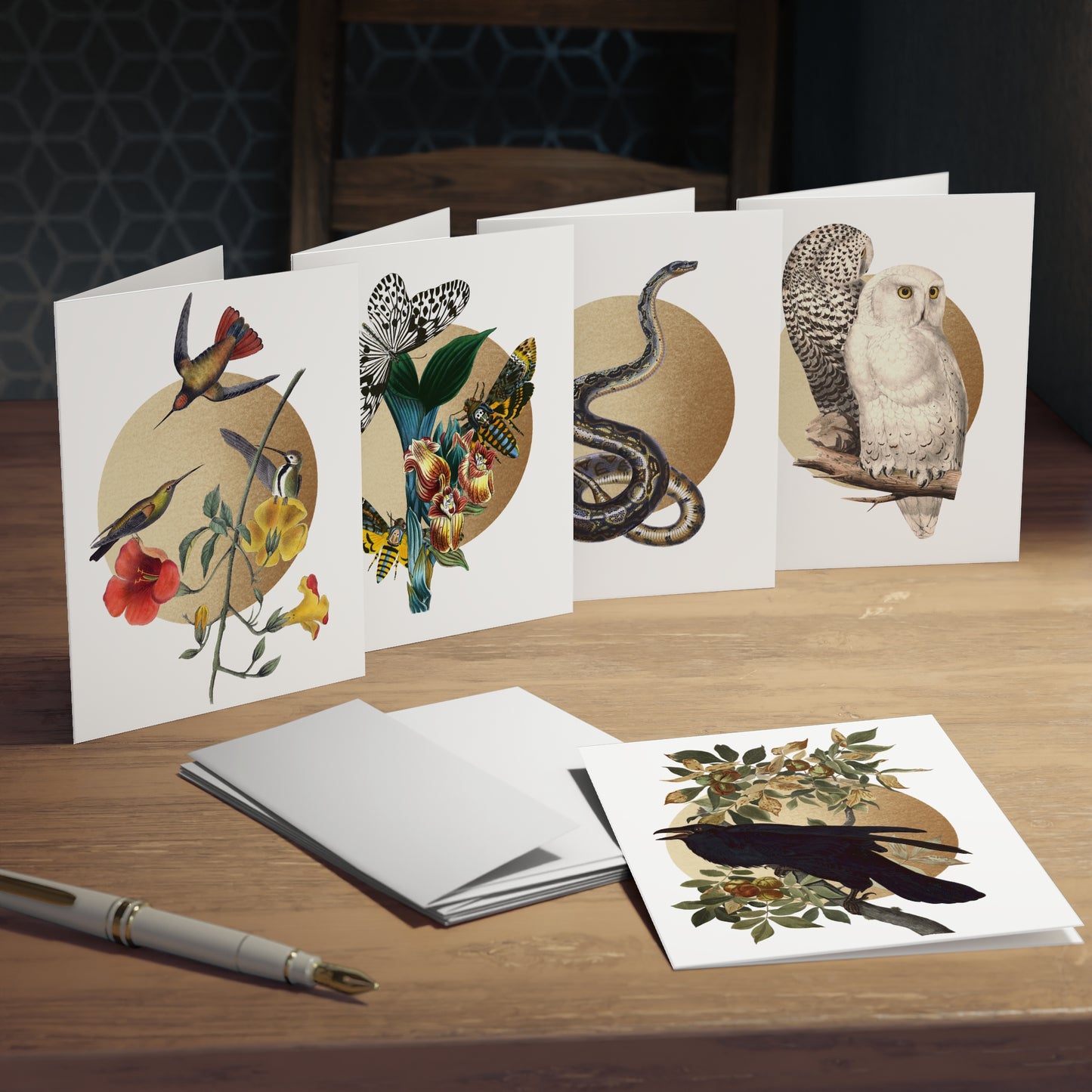 Vintage Illustrations Multi-Design Greeting Cards Raven Moth Owl Hummingbird Snake Variety Pack Greeting Cards (5-Pack)