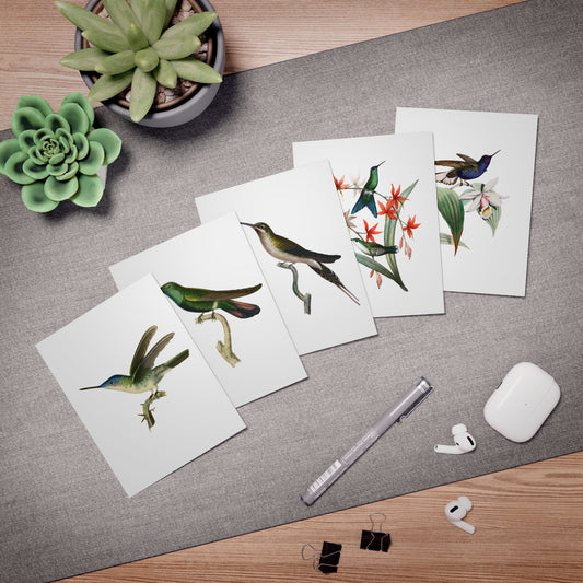Set of 5 Vintage Hummingbird Note Cards with Envelopes | Whimsical Blank Stationery Owl Art | Paper Goods, Gift Cards, Eco-Friendly