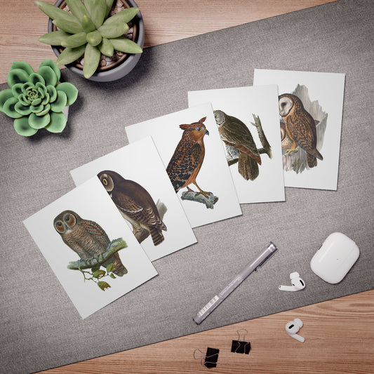 Set of 5 Vintage Owl Note Cards with Envelopes | Charming Blank Stationery Featuring Owls | All Occasions, Paper Goods, Eco-Friendly